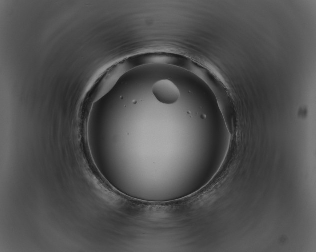 X0000091731116200708241406