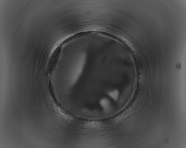 X0000091731117200708241406