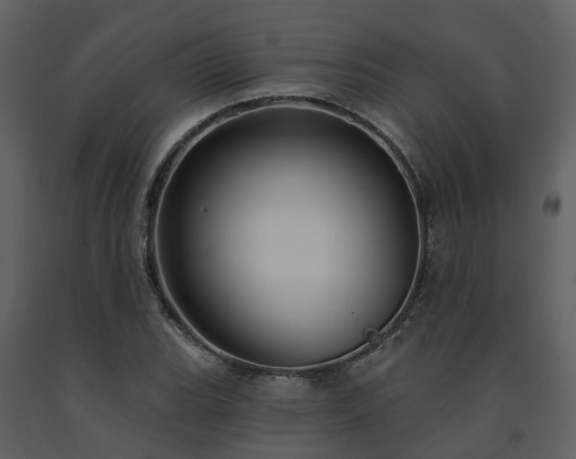 X0000091731119200708241406