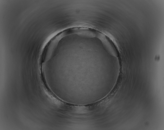 X0000091731120200708241406