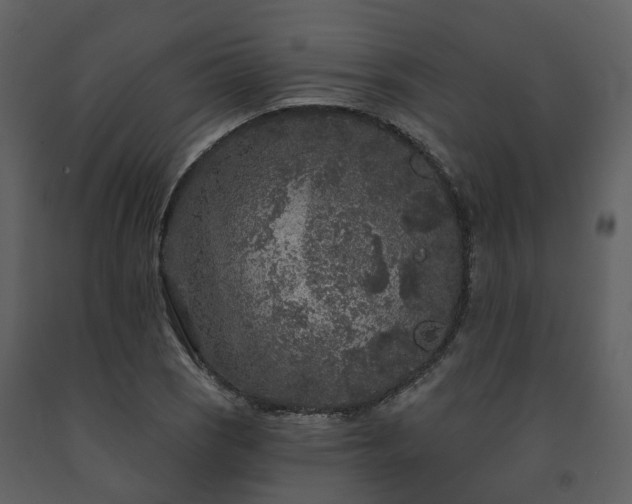 X0000091731121200708241406