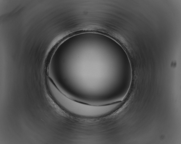 X0000091731122200708241406
