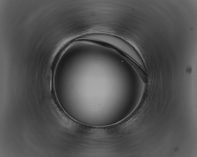 X0000091731123200708241406