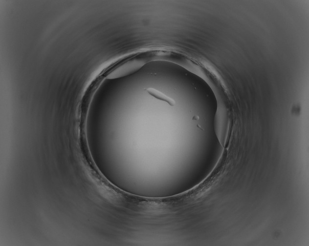 X0000091731124200708241406