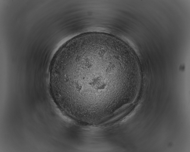 X0000091731125200708241406