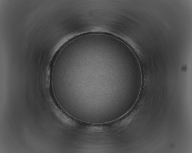 X0000091731126200708241406