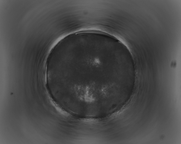 X0000091731127200708241406