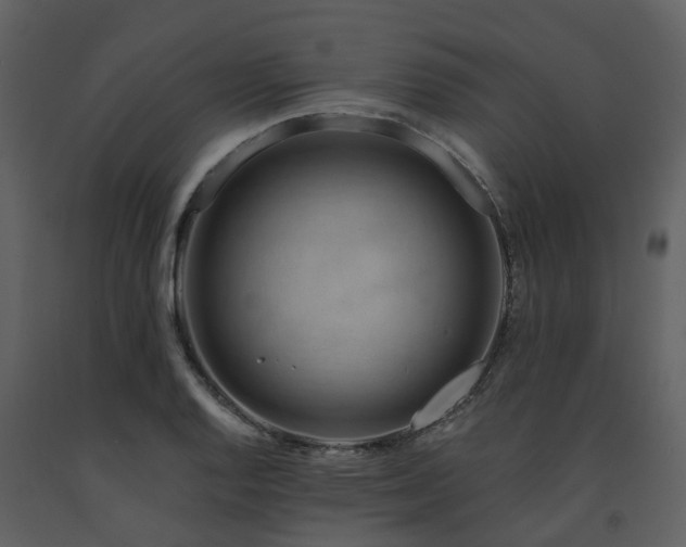 X0000091731128200708241406