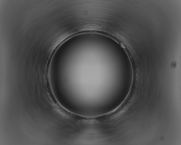 X0000091731129200708241406