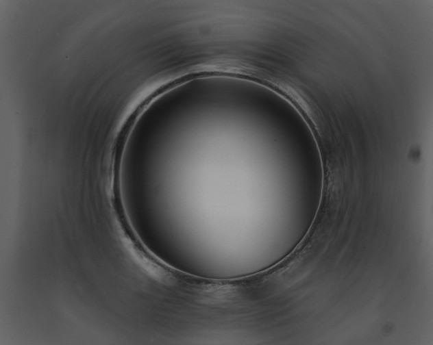 X0000091731131200708241406