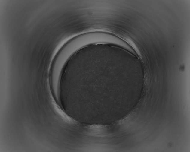 X0000091731132200708241406