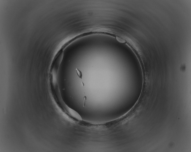 X0000091731133200708241406