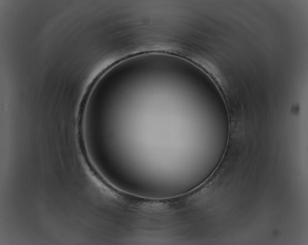 X0000091731135200708241406