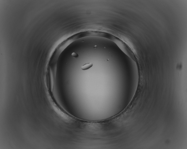 X0000091731136200708241406