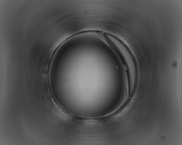 X0000091731137200708241406