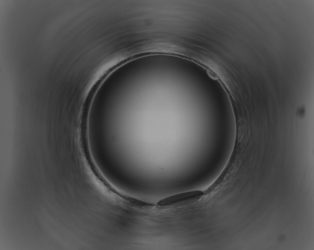 X0000091731139200708241406