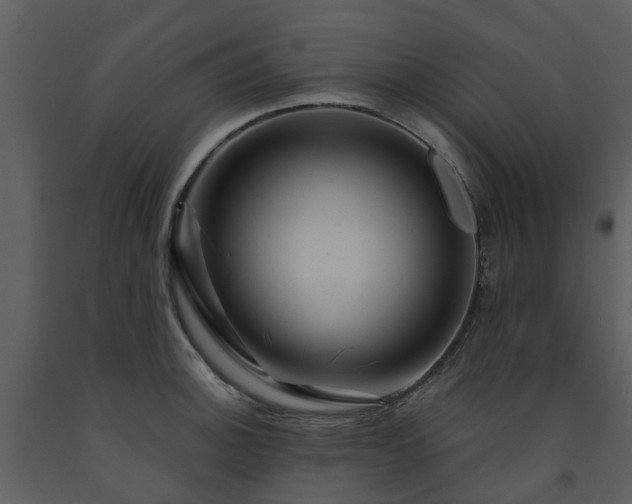X0000091731140200708241406