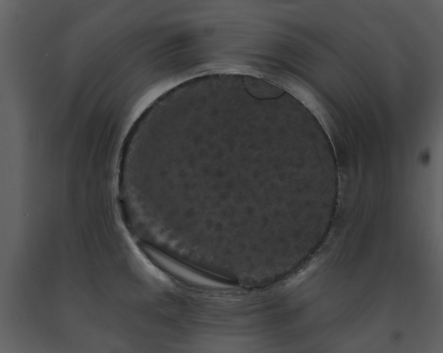 X0000091731141200708241407