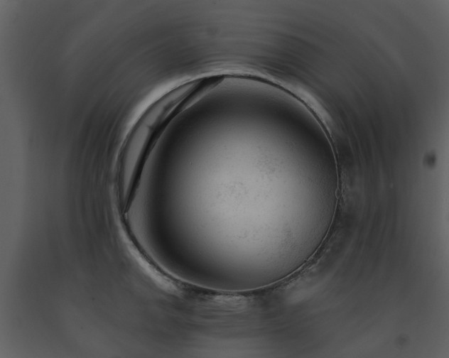 X0000091731142200708241407