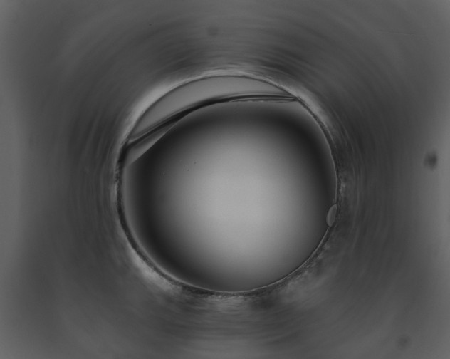 X0000091731143200708241407
