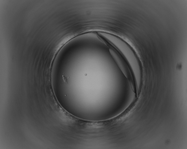 X0000091731145200708241407