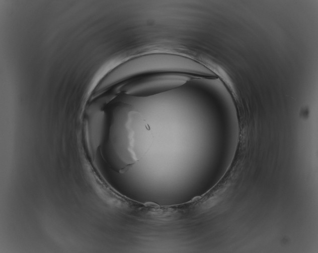 X0000091731146200708241407