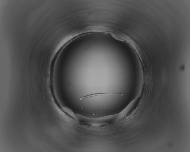 X0000091731147200708241407