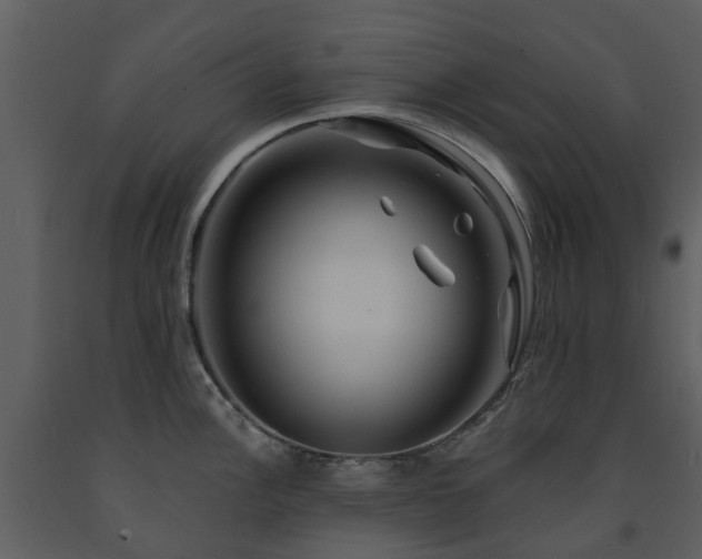 X0000091731148200708241407