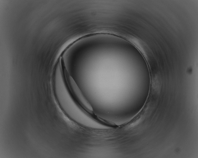 X0000091731149200708241407
