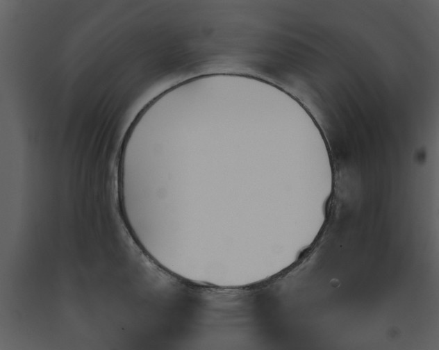 X0000091731150200708241407