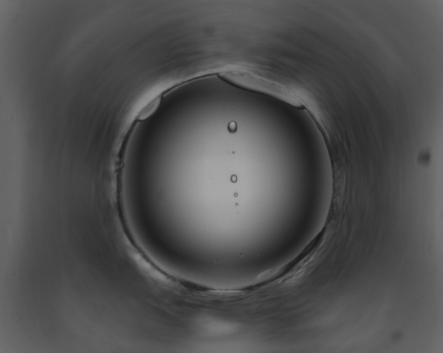 X0000091731151200708241407