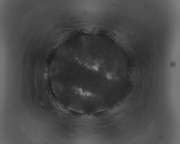 X0000091731154200708241406