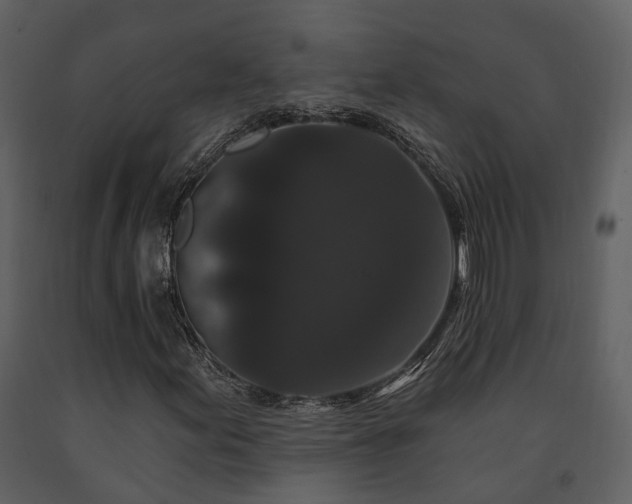 X0000091731155200708241406