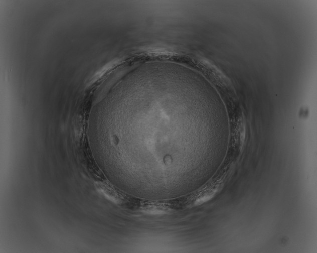 X0000091731157200708241406