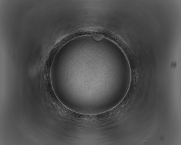 X0000091731158200708241406