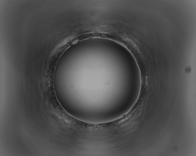 X0000091731159200708241406