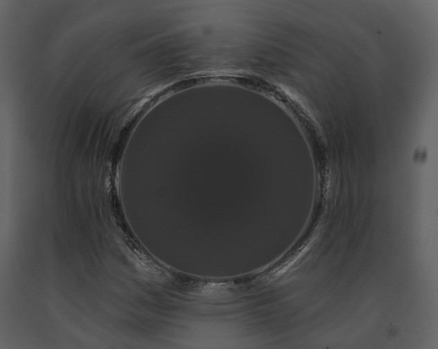 X0000091731161200708241406
