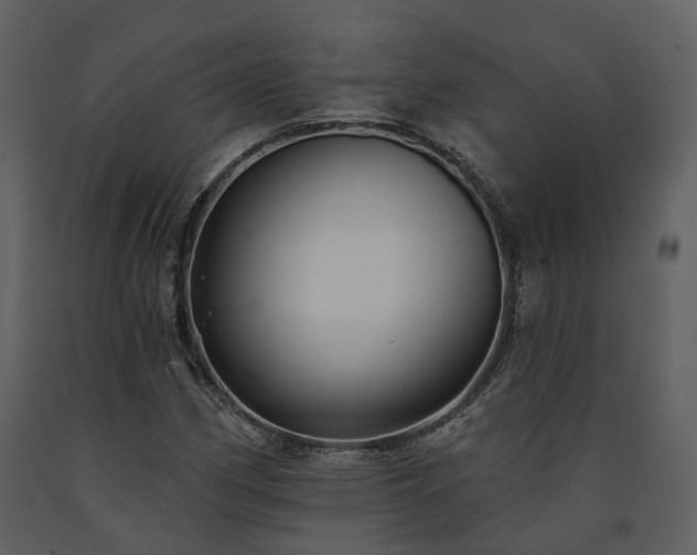 X0000091731162200708241406