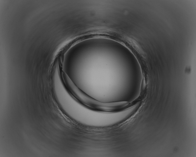 X0000091731164200708241406