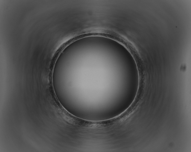 X0000091731166200708241406