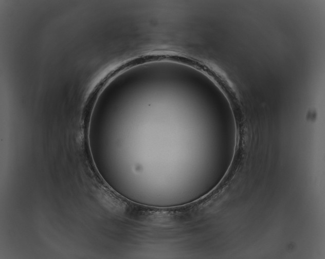 X0000091731167200708241406