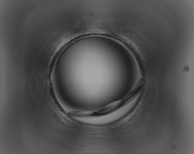 X0000091731168200708241406