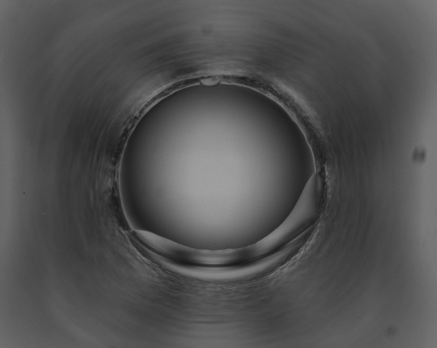 X0000091731169200708241406
