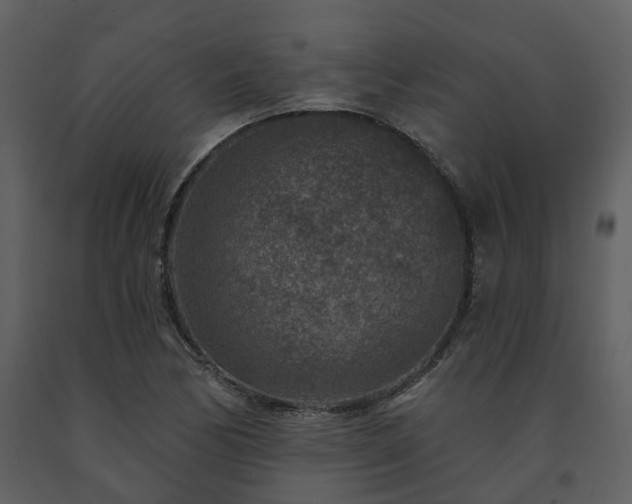 X0000091731170200708241406