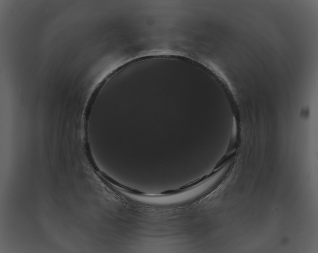 X0000091731173200708241406