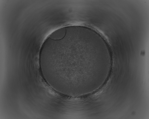 X0000091731174200708241406