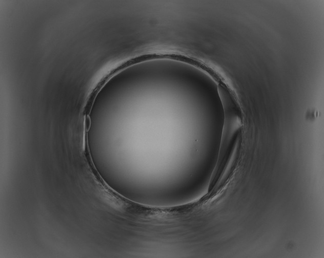 X0000091731175200708241406