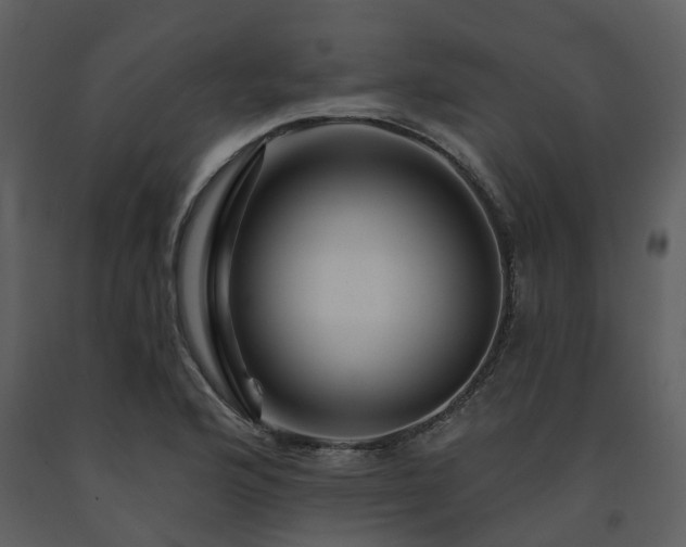 X0000091731176200708241406