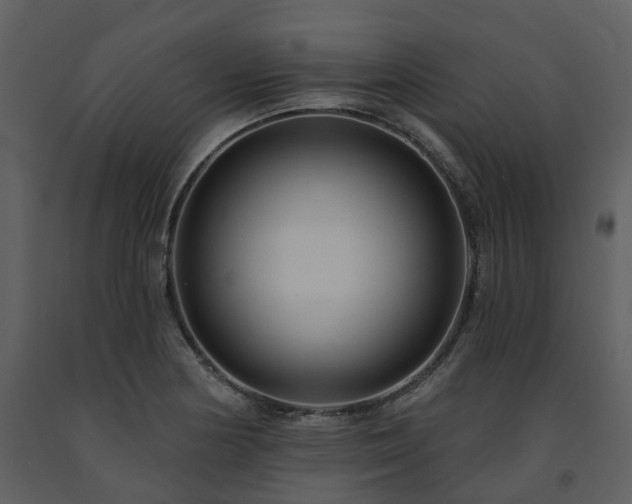 X0000091731178200708241406