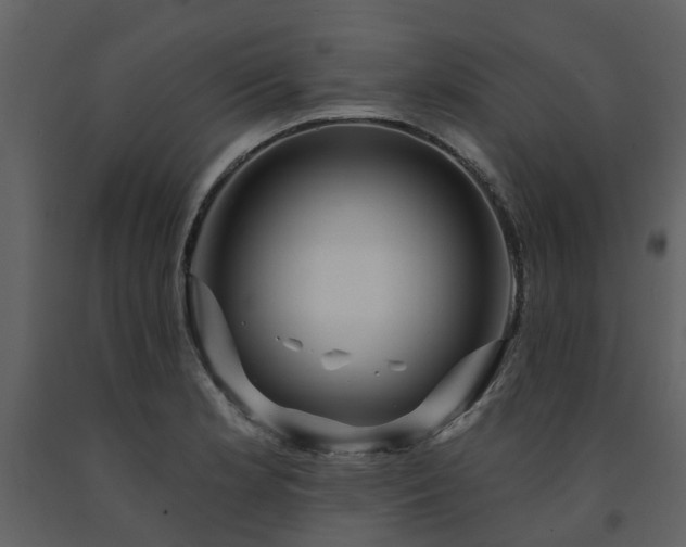 X0000091731181200708241405